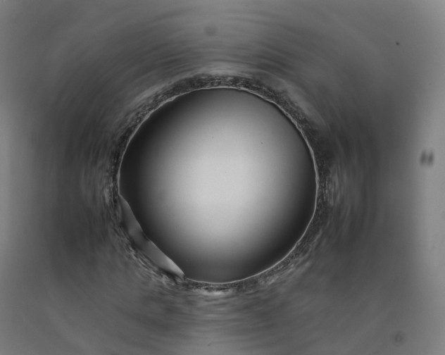 X0000092260821200709281202