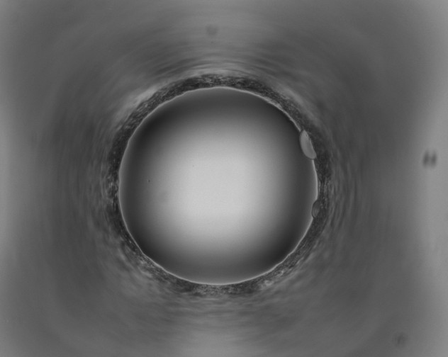 X0000092260822200709281202