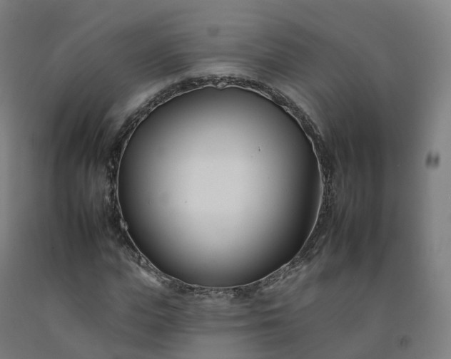 X0000092260823200709281202