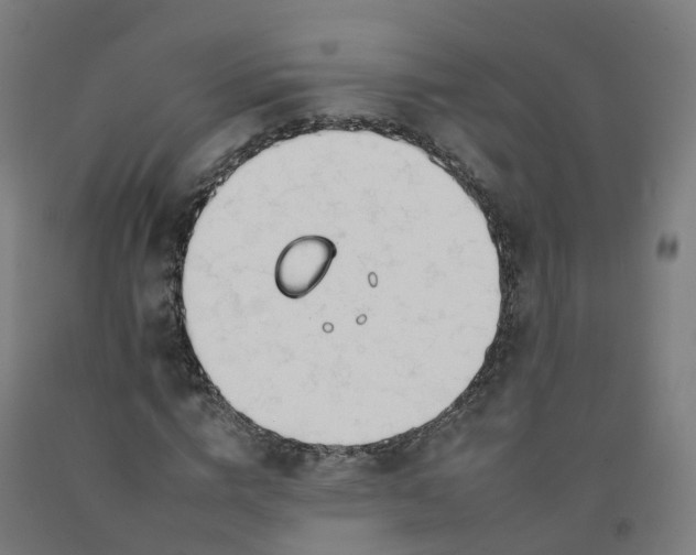 X0000092260824200709281202