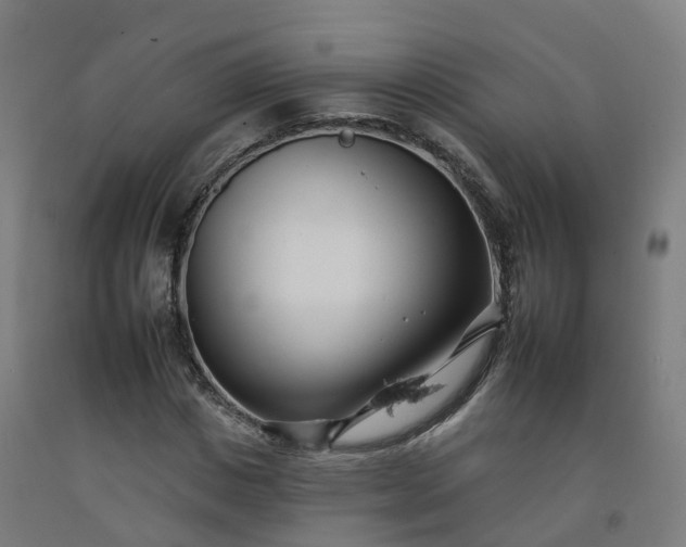 X0000092260825200709281202