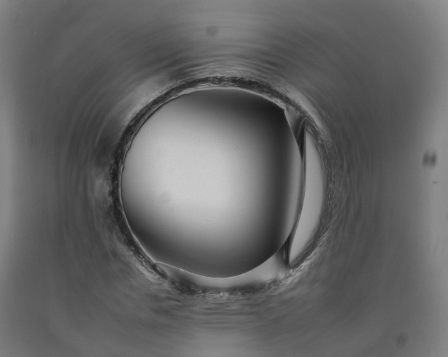 X0000092260826200709281202