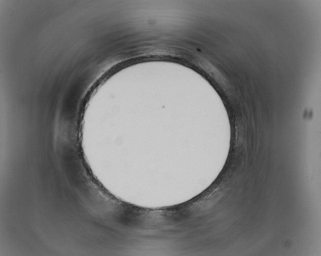 X0000092260828200709281202