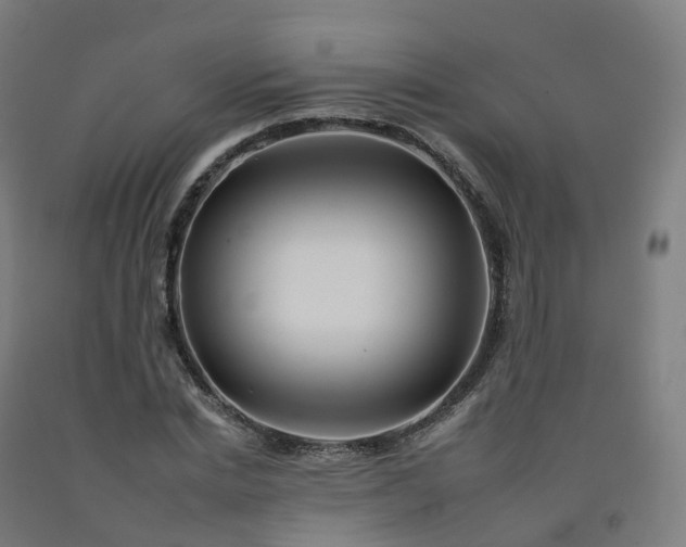 X0000092260830200709281202