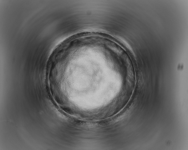 X0000092260831200709281202