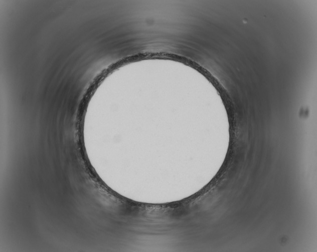 X0000092260832200709281202