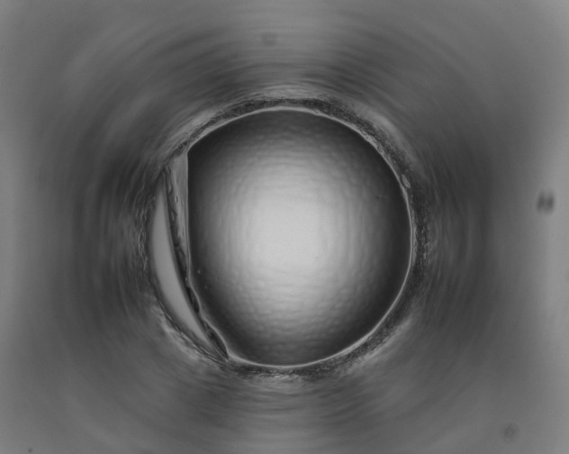 X0000092260833200709281202