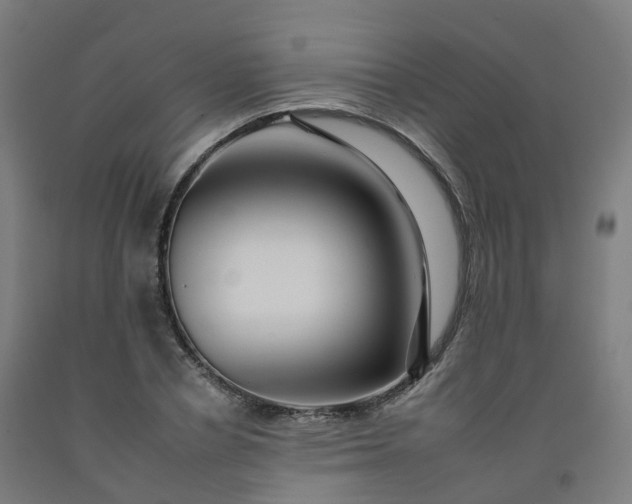 X0000092260834200709281202