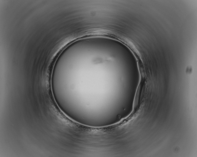 X0000092260835200709281202