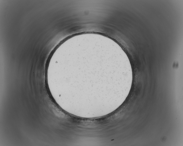 X0000092260836200709281202