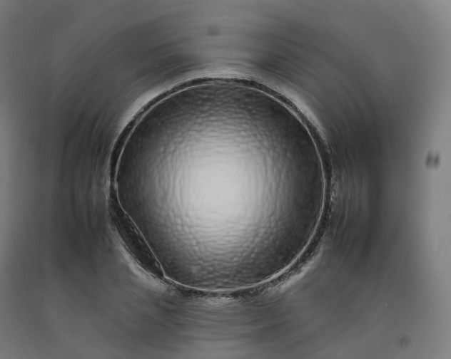 X0000092260837200709281202