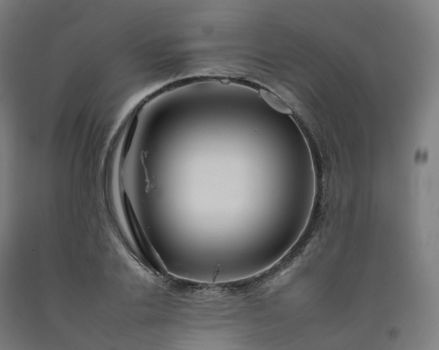 X0000092260838200709281202