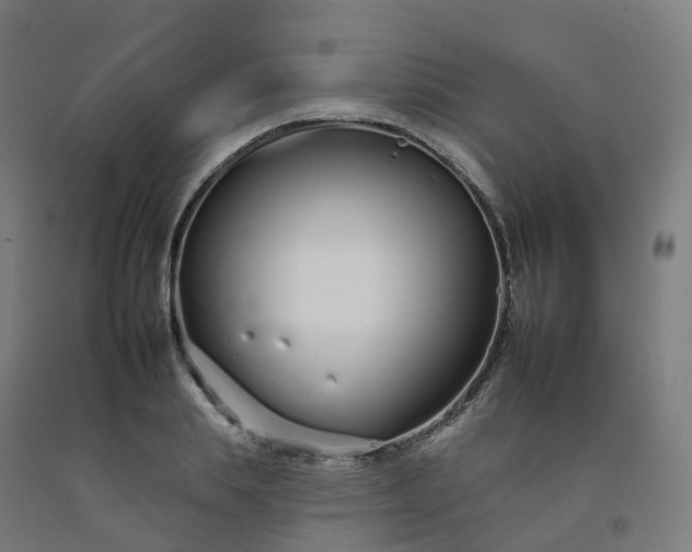 X0000092260839200709281202