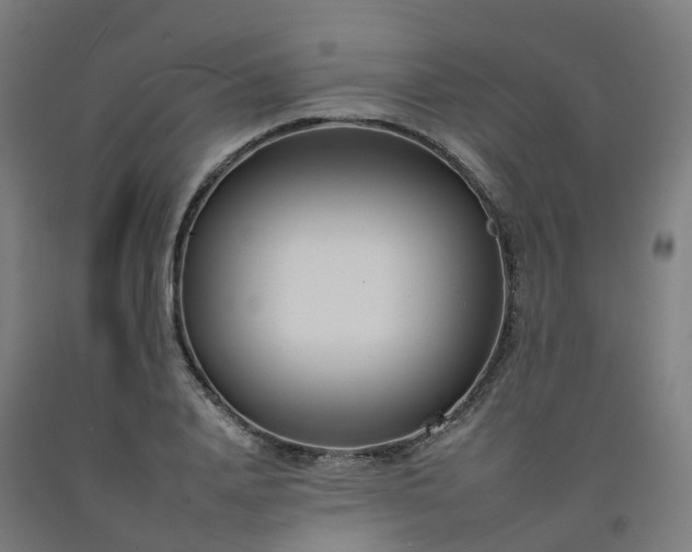 X0000092260840200709281202