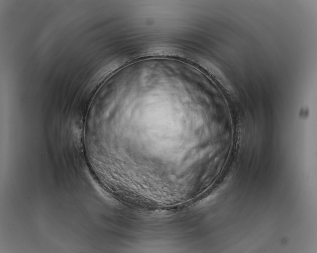 X0000092260841200709281202