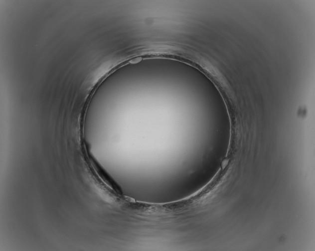 X0000092260842200709281202