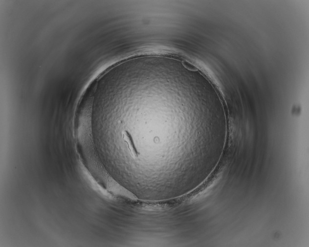 X0000092260843200709281202