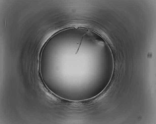 X0000092260844200709281202