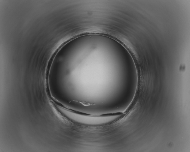 X0000092260845200709281202