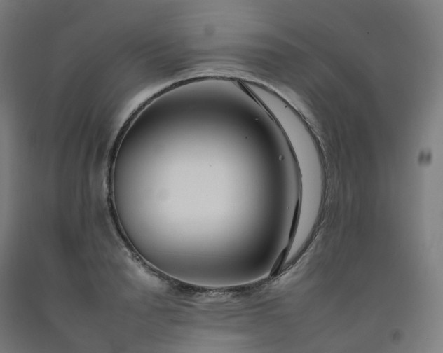 X0000092260846200709281202