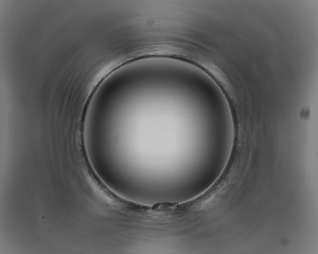 X0000092260850200709281202