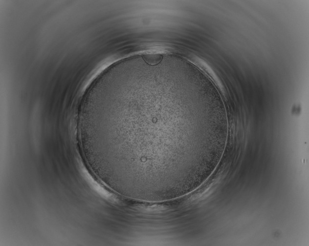 X0000092260851200709281202