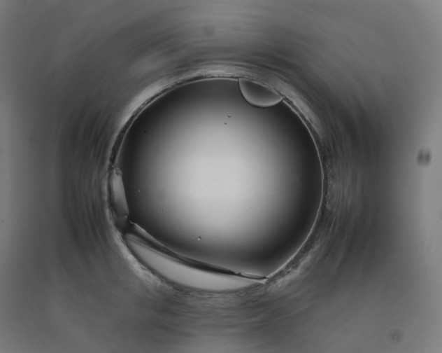 X0000092260853200709281202