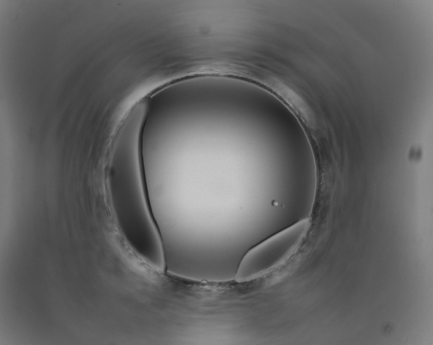 X0000092260854200709281202