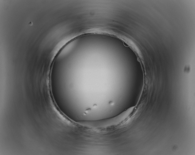 X0000092260855200709281202