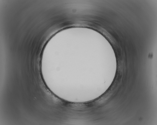 X0000092260856200709281202