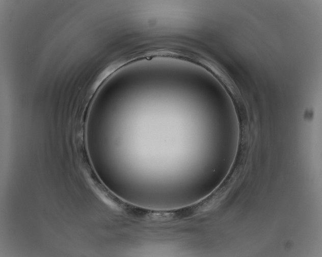 X0000092260858200709281202