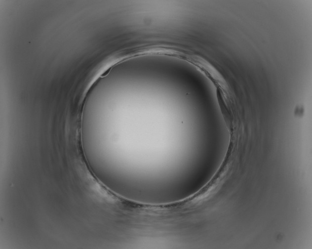 X0000092260860200709281203