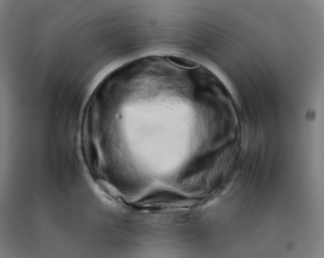 X0000092260861200709281203