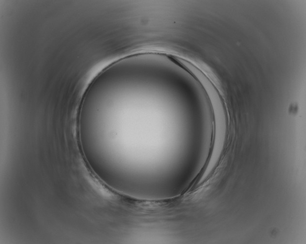 X0000092260862200709281203