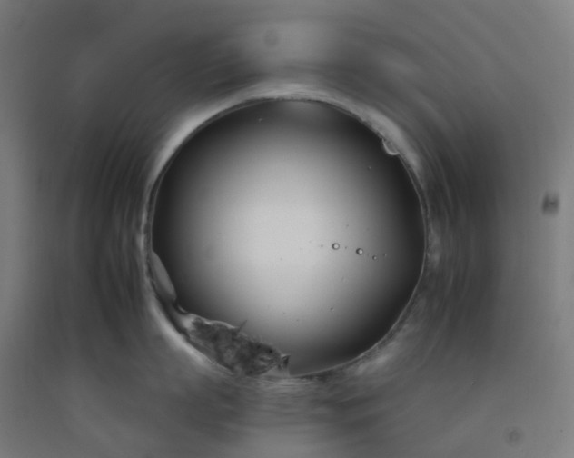 X0000092260863200709281203