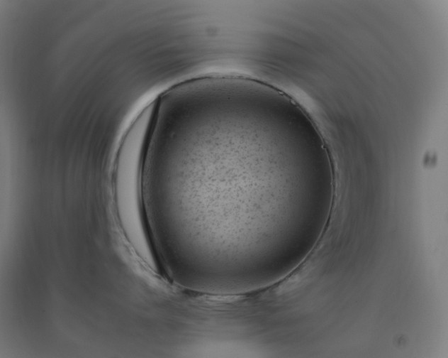 X0000092260864200709281203