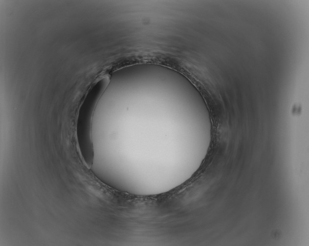 X0000092260865200709281202