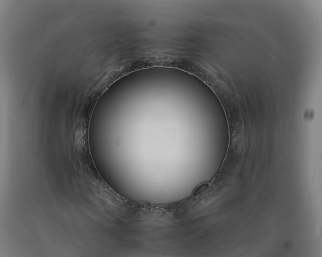 X0000092260866200709281202