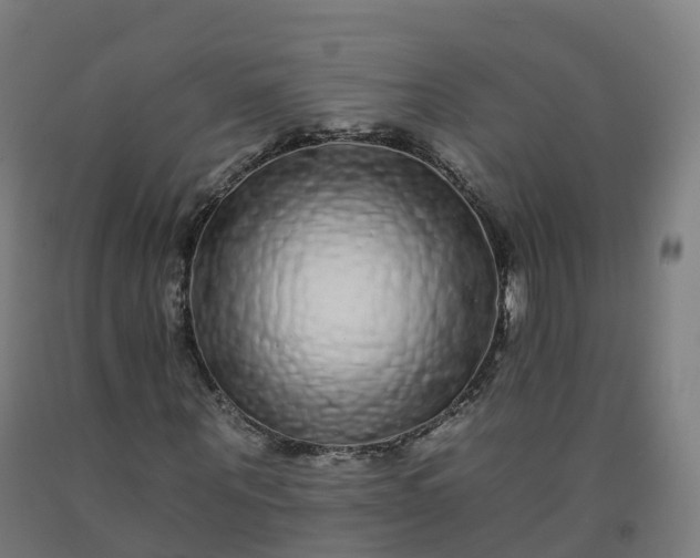 X0000092260867200709281202