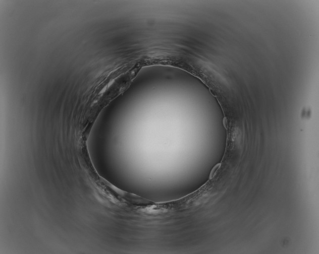 X0000092260868200709281202