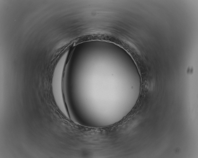 X0000092260869200709281202