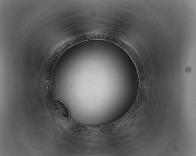 X0000092260870200709281202