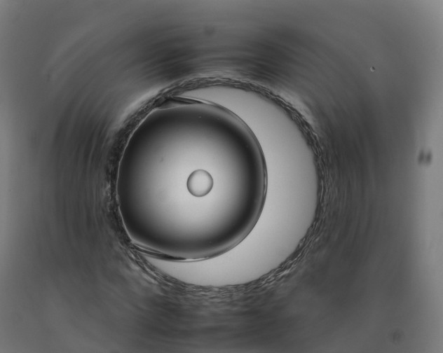 X0000092260872200709281202