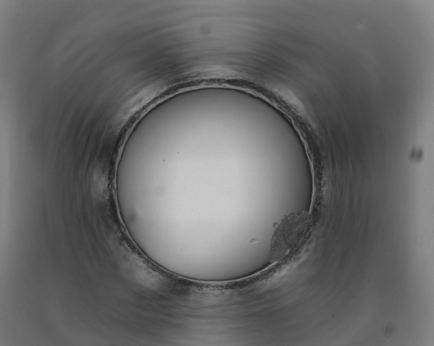 X0000092260873200709281202