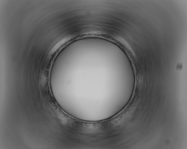 X0000092260874200709281202