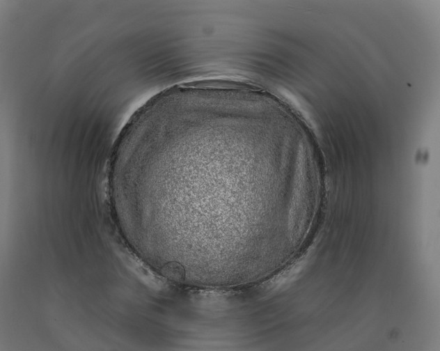 X0000092260875200709281202