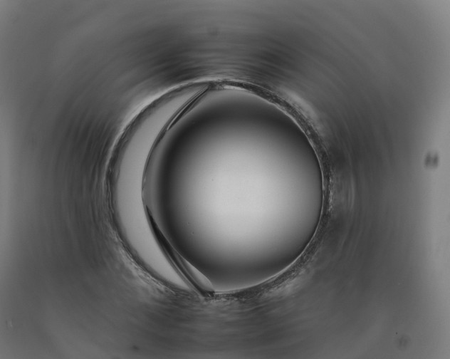 X0000092260876200709281202