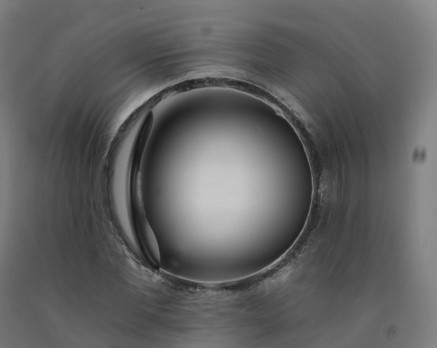 X0000092260877200709281202