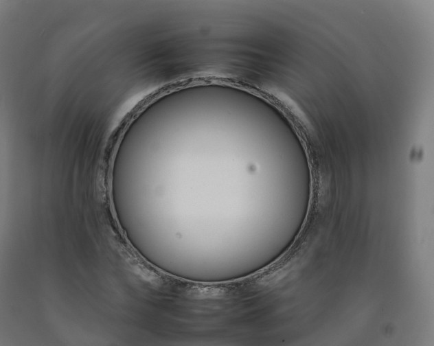 X0000092260878200709281202