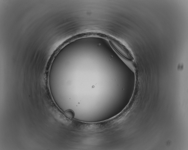 X0000092260879200709281202